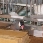 IMG_5839