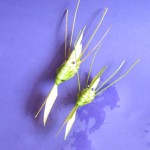 grasshopper making (37)