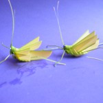 grasshopper making (42)